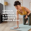 image:imageOptimum Nutrition Creatine Monohydrate Plus Powder Orange Passionfruit Flavored Creatine Performance Blend With Electrolytes for Hydration Added Vitamins 40 Servings 360 Grams Packaging May VaryOrange Passionfruit