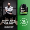 image:imageOptimum Nutrition Serious Mass Weight Gainer Protein Powder Vitamin C and Zinc for Immune Support Vanilla 12 Pound Packaging May VaryBanana