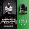 image:imageOptimum Nutrition Serious Mass Weight Gainer Protein Powder Vitamin C and Zinc for Immune Support Vanilla 12 Pound Packaging May VaryChocolate