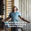 image:imageOptimum Nutrition Creatine Micronized Creatine Monohydrate Powder Supports Strength amp Recovery Banned Substance Tested Unflavored 5 g per Serving 120 Servings  5g Micronized Creatine Monohydrate Powder Per Serving Supports Muscle Strength amp Power Easy Mixing Banned Substance TestedUnflavored