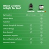 image:imageOptimum Nutrition Creatine Micronized Creatine Monohydrate Powder Supports Strength amp Recovery Banned Substance Tested Unflavored 5 g per Serving 120 Servings  5g Micronized Creatine Monohydrate Powder Per Serving Supports Muscle Strength amp Power Easy Mixing Banned Substance TestedUnflavored